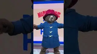 Paddington | Polite Bear Dance