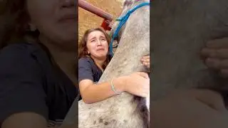 Our FUNNY Horse Bloopers! 🤣 #shorts #animals