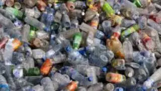 Social Behind Taxes To Gear Solitary-use Plasticity Waste Management