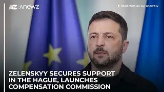 Украинский политик Зеленский заручился поддержкой в ​​Гааге и создал комиссию по выплате компенса...