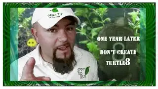 Following Up A Year Later -- Don't Create Turtle8