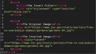 Invert Filter (Web Development/Design - Unit 5 Lesson 14.6 - HTML Coding)