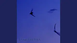 A Moment Of Grace