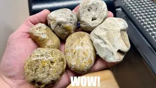 Резка камней | Что внутри этих окаменелостей озера Мичиган!?