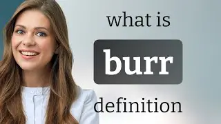 Burr | what is BURR definition