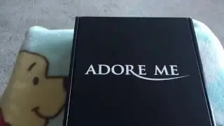 Adore Me Subscription Box | Plus Size Lingerie ♡