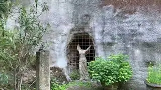A Fairytale Stone Cottage in Germany | Hidden Gem Near St. Matthiaskapelle