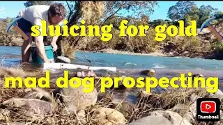 Gold #nsw#prospecting #fossicking #river  #golden #goldfever #sluice #sluicebox #viral 
