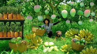 Relaxing With The Harvest: Banana, Australian Mango, Pineapple, Red Jackfruit, Orange, Aloe Vera...