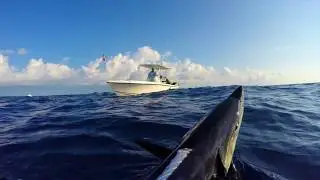 Spearfishing Key West Wahoo - 1st Place KW Wahoo Shootout