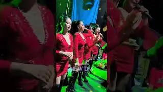 JEGER - DHEA NITA - NEW DM