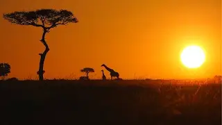 African Sunrise Music for Positive Energy &bull; Relax Here with Calm Instrumental - Serenity Sounds ♫