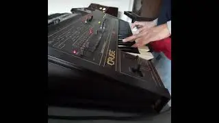 SIEL CRUISE DEMO TEST