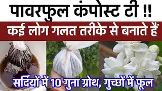 Compost Tea कैसे बनाएं? 24 घंटे में Powerful Organic Fertilizer तैयार!Organic Fertilizer at Home 