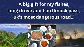 A big gift for my fishes, long drive and hard knock pass,uk's most dangerous road..