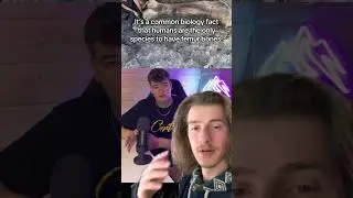Гигантские бедренные кости