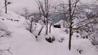Fresh snowfall at kashmir 🌨️🌨️🌨️#snowfall#kashmir 