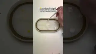 #egg #eggs #eggshorts #egglove