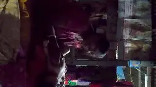 এতো হাসি পাচ্ছে কেনো 😘 টাপুর আর দিদুন,,😚 (শট ভিডিও)♥️