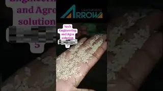 Extruder AHE78 fortified rice food lines in india #arrow #machinery #shandong