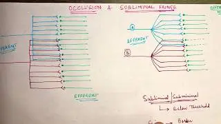 Subliminal Fringe vs Occlusion