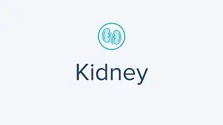 Kidney Test for Monitoring Kidney Function and Performance for a healthy you