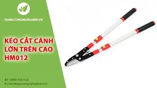 K&eacute;o cắt c&agrave;nh lớn tr&ecirc;n cao Sunsong HM012 | Dungcunongnghiep.vn