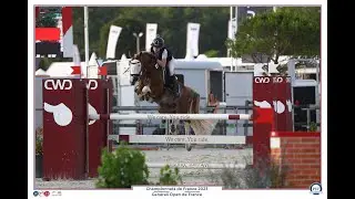 Goldwyn d'Embets Lays &eacute;talons Championnat de France 7 ans Jour 2 9 juillet 2023
