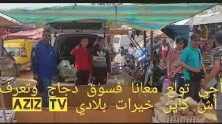 من أحسن أسواق دجاج الفيومي بيبي أرانب فلالس طاوس خيرات بلادي Aziz Tv لتواصل 0682823532