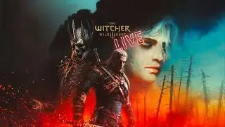 Velen Side Quest Galore. Witcher 3 - Deathmarch - 100% Playthrough!