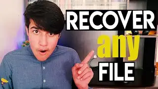 How to recover any deleted files in windows | Halim Tech