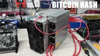 WHO WANTS SOME SOLO BITCOIN HASHRATE?