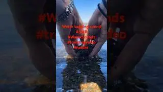 *🎧 Title:*  *Water Tapping Sound ASMR | Gentle, Relaxing Water Drops for Sleep. #nature