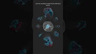 Snapshots of Atoms: Sub-nanometer Imaging | #shorts