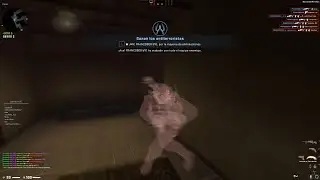 hvh highlights with primordial.dev +6k