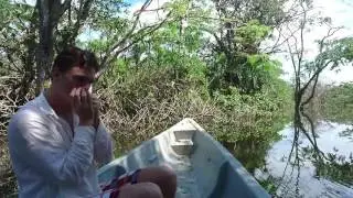 Jungle Blues (harmonica improv) in the actual Amazon Jungle