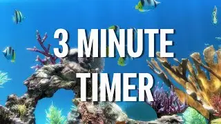 3 Minute Timer Reef