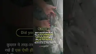 Incredible transparent 