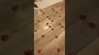 Wood look tile install #youtubeshorts #shorts #flooring