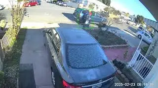 person with dog big black guy garage #poop