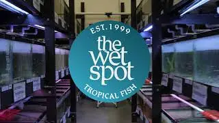 We are Back on YouTube Fish Fam!