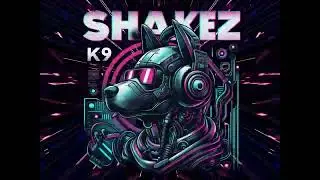 SHAKEZ - K9 *OFFICIAL R&E VISUALISER*