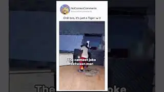 Bro really said 