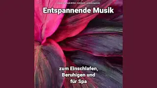 Entspannende Musik Teil 96
