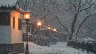Snow Moving Softly Over Hills and Trees in a Silent Winter Afternoon