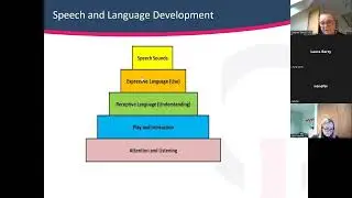 Primary Champions: Supporting Language and Social Communication through QFT