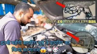 Verna engine vering chenge rat bite problem #battery #automobile #duet #modified #battery 