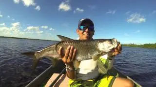TARPON fLY FISHING MAHAHUAL Q. ROO