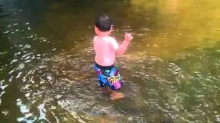 Wildcat Branch Falls #5