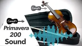 Primavera 200 Violin Sound Clip
